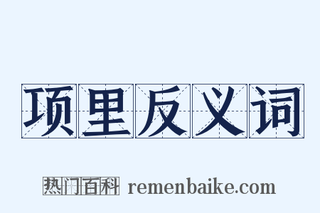 项里反义词是什么意思的图片